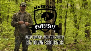 Dave Owens’ Turkey Calling Tips FLYDOWN SEQUENCE [upl. by Anne-Corinne416]