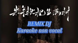 韩小欠  来年枇杷生满树 Karaoke non vocal Han xiao qian  Lai nian pi pa sheng man shu [upl. by Ydaj416]