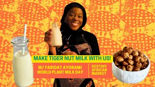 How to Make Alternative Milk Using Tiger Nuts WorldPlantMilkDay [upl. by Milburr]