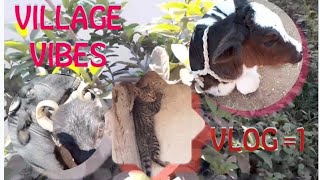 Village vibes vlog 1 [upl. by Alyac165]