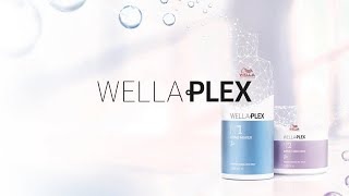 Wellaplex No°1 Bond Maker Bond Multiplier 2020 Video [upl. by Godric]