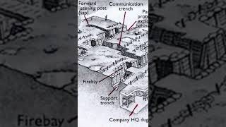 Trench System WW1 interesting history ww1 story fyp [upl. by Hcir]