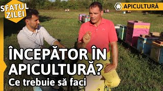 ÎNCEPĂTOR ÎN APICULTURĂ Ce trebuie să faci Sfatul zilei [upl. by Dana669]