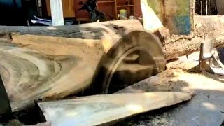 Monster Stump Saw  The Fastest and Most Dangerous Disc Saw Wood Splitting Machine [upl. by Ecinerev]