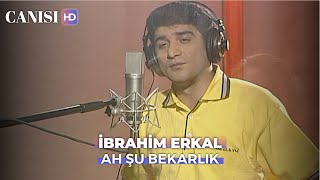 İbrahim Erkal  Ah Şu Bekarlık Canısı Dizi Klibi [upl. by Lunna779]