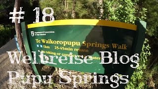 WWOOFing 44 Takaka Te Waikoropupu Springs Neuseeland  Weltreise Vlog  Work and Travel 18 [upl. by Nivets]