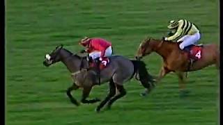 1993 Tingle Creek Chase Sybillin [upl. by Ajiam]