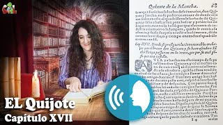 17 Leyendo el Quijote Capítulo XVII audiolibro [upl. by Acirdna]