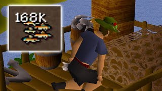 Im never barbarian fishing again UIM 82 [upl. by Inalej]