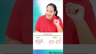 14 Exotoxin Versus Endotoxin [upl. by Frech]