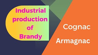 Industrial production of BrandyDistilled Alcoholic beveragesCognac productionArmagnac production [upl. by Ylen]