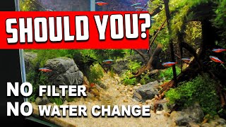 Why No Filter No Water Change Aquariums Are NOT For Everyone [upl. by Hilaria]