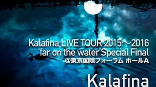 Kalafina LIVE TOUR 2015～2016‘far on the water’Special Final東京国際フォーラムホールA  Kalafina（カラフィナ） [upl. by Mcdonald207]