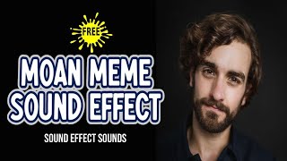 Moan Meme for 1 hour  Sound Effect Sounds [upl. by Llirrehs]