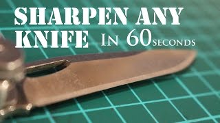 The Laziest Way to Sharpen Any Knife to Razor Sharp 2 [upl. by Ainavi44]