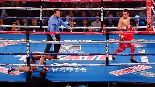 Donaire PHILIPPINES vs Arce MEXICO  KNOCKOUT BOXING FIGHT Highlights [upl. by Pirzada]