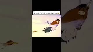 animals have feelings too anime movieexplainedinhindi movie shorts [upl. by Gregg]