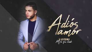 LUISMI  ADIOS AMOR SALSA 2019 [upl. by Annawal]