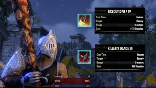 ESO PvP  Executioner vs Killers Blade [upl. by Nahtannhoj]