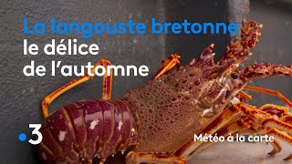 La langouste bretonne le délice de lautomne  Météo à la carte [upl. by Lebam]