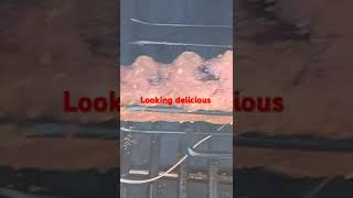 Looking delicious bbq smokedbbq porkrecipes porkribs chicken smokebbq pitbossgrills smoker [upl. by Dadinirt]