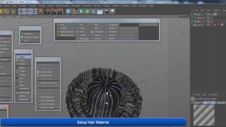 Splines to Guides C4D Hair TimeLapse with captions [upl. by Animlehliw935]