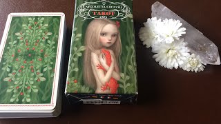 Nicoletta Ceccoli Tarot  Full Deck Walkthrough [upl. by Airt600]