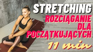 Stretching dla początkujących rozciąganie  Paula Piotrzkowska [upl. by Rorrys]