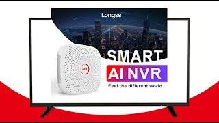 Longse AI NVR amp AI IPC Function Introduction [upl. by Annasus732]