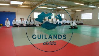 Fabrice Croizé  Stage dAIkido au Dojo des Guilands janvier 2024 [upl. by Anayk]