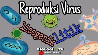 Siklusdaur Litik dan lisogenik  ReplikasiReproduksi Virus dan cara hidup Virus  biologi SMA [upl. by Lledner]