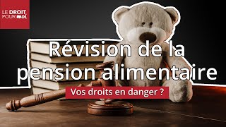 Pension alimentaire  vos droits en danger [upl. by Ivory]