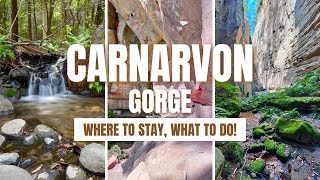 Carnarvon Gorge QLDs Hidden Gem  Where to Stay What to Do [upl. by Lluj]