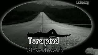 Tera pind song slowed reverb [upl. by Lennaj]