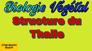 Cours Biologies Végétal  Structure du Thalle  💯validé ✅ [upl. by Hoffman]