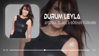 Ayşegül Aldinç amp Gökhan Türkmen  Sorma Durum Leyla  Remix [upl. by Oneg999]