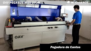 Pegadora de Cantos OAV PEGASUS MAX 370M [upl. by End]