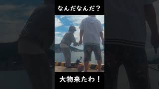 【北海道釣り】ふ頭で釣りしたら大物が掛かったわ [upl. by Felipe]