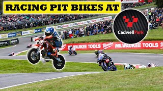 Racing A Pit Bike At Cadwell Park   The British Supermoto Championship  pitbikesupermoto [upl. by Enymsaj]