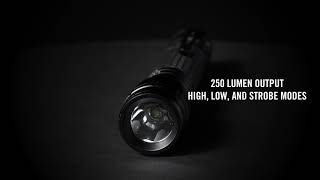 LUXPRO LP290 2AA LED Flashlight [upl. by Anidal]