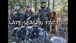 Duck Hunting 2017  Bluebill LIMIT [upl. by Aneeras]