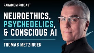 Thomas Metzinger Neuroethics psychedelics and conscious AI [upl. by Sulecram]