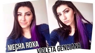 Como fazer mecha Roxa no cabelo com Violeta Genciana [upl. by Anirtap201]