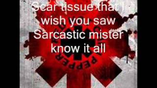 Red Hot Chili Peppers  Scar Tissue [upl. by Anivlis766]