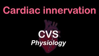 Physiology Cardiac innervation [upl. by Luise]