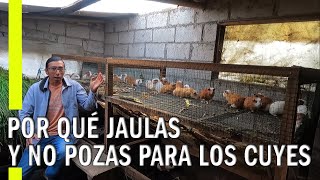 JAULAS PARA CUYES O POZAS PARA CUYES [upl. by Lark]