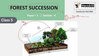 7 IFoS2020  Silviculture  Forest succession [upl. by Torhert]