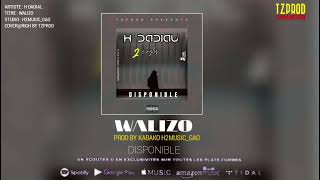 H DADIAL WALIZO PROD BY KABAKO SON OFFICIEL2024mp3 [upl. by Quenna909]