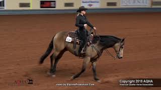 2018 AQHA Amateur Ranch Riding [upl. by Ainegue627]