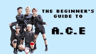 The Beginners Guide To ACE [upl. by Allegna799]